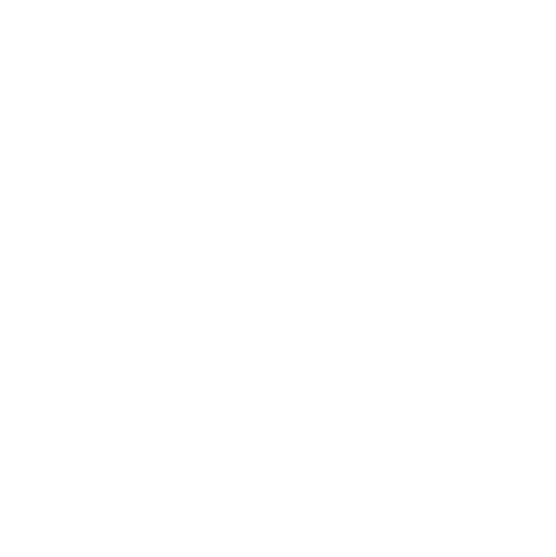 Denver International Airport logo